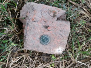 2014-08-17-15.10.54_adorp.