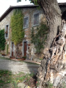 een van de appartementen