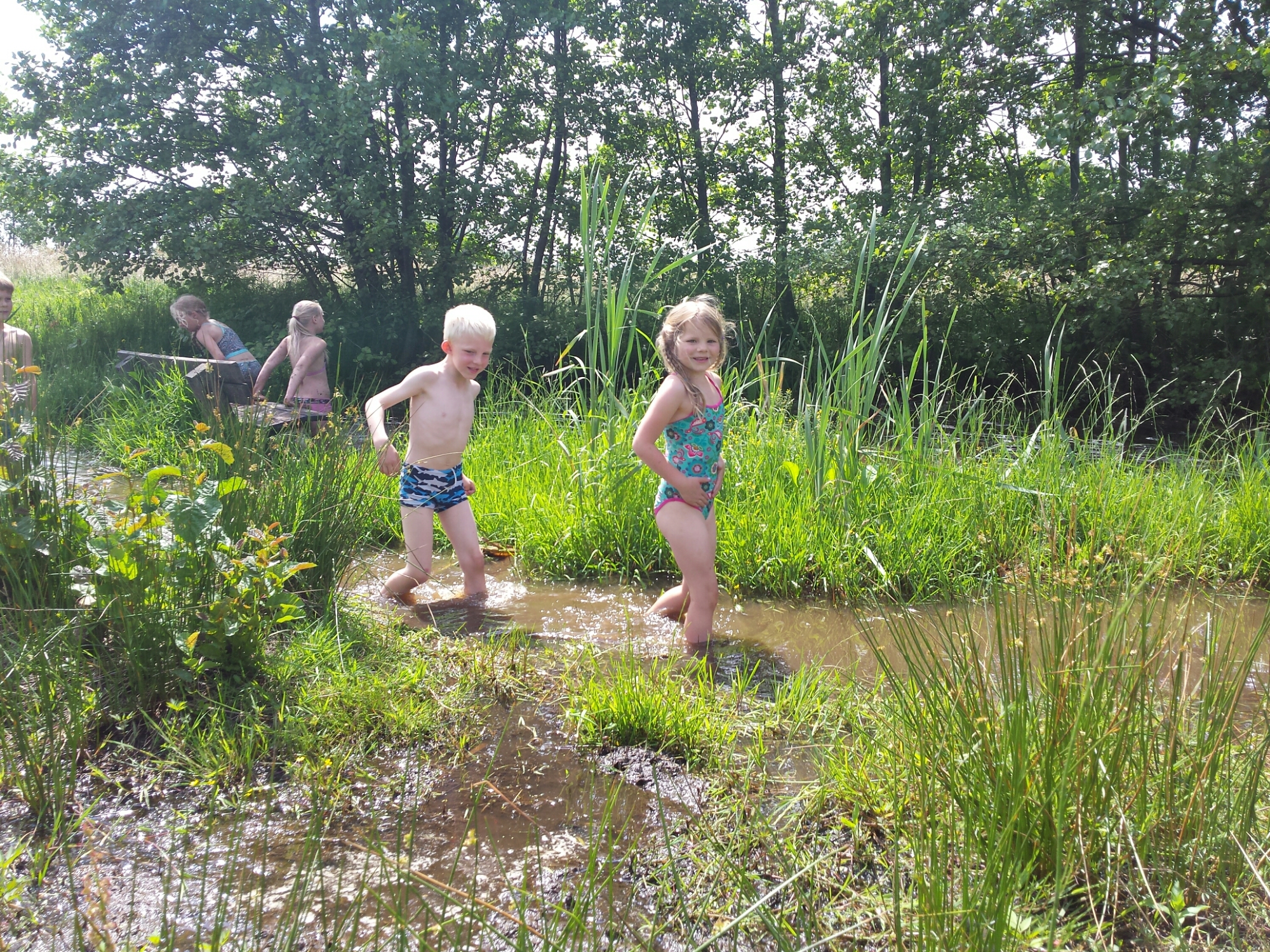 20140609_124814.jpg image